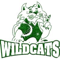 GLT32 GREEN GLITTER Thumbnail